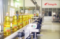 KIDO gặp khó với ngành dầu ăn