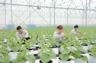 PAN Group sẽ dồn lực cho các thương vụ M&A