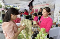 Phụ nữ thiểu số tỉnh Hòa Bình được kết nối thị trường, tiêu thụ sản phẩm