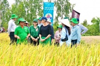 Công nghệ 5.0: “Chìa khóa vàng” mở bung ngành nông nghiệp Việt