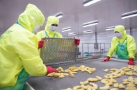Doanh thu PAN vượt 4.000 tỷ đồng trong quý II/2025