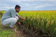 Xanh hóa hóa chất - phân bón: Động lực cạnh tranh hay rào cản chi phí?