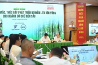 Ngành gỗ Việt Nam đứng trước “cuộc chơi mới”: Chứng nhận không còn là lựa chọn