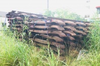 Chính phủ giao UBND tỉnh Bình Dương xử lý vụ chuyển nhượng đất Trạm đường sắt Dĩ An