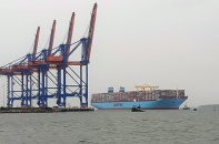 Kiểm tra giá cước vận chuyển container bằng đường biển 11 hãng tàu ngoại