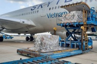 Vietnam Airlines vận chuyển bộ xét nghiệm nhanh Covid-19  do Đức trao tặng 