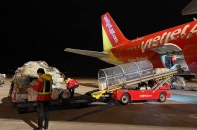 Hai doanh nghiệp có cơ hội đầu tư Dự án bảo trì phương tiện mặt đất sân bay Long Thành