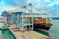 Giá cước hàng hoá bằng đường biển từ Việt Nam đi châu Mỹ vẫn đang xu hướng giảm