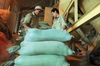 Bình Phước: Nhiều giải pháp hỗ trợ doanh nghiệp nhỏ và vừa