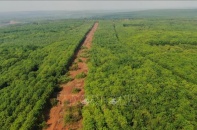 Bình Phước quy hoạch sân bay Hớn Quản dự kiến rộng 350 ha 