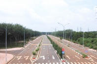 Đồng Nai đấu giá khu đất cụm công nghiệp Long Giao, giá khởi điểm 788 tỷ đồng