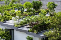 Xây biệt thự với mô hình công viên