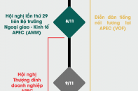 [Infographic] Lịch trình các hoạt động chính tại Tuần lễ Cấp cao APEC 2017