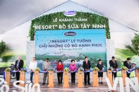 Vinamilk “bóc tem” resort bò sữa mới tại Tây Ninh