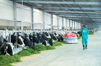 TP.HCM lập khu công nghiệp dành cho doanh nghiệp khởi nghiệp ứng dụng công nghệ cao