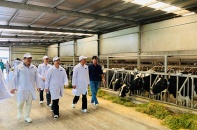 “Resort” bò sữa Tây Ninh của Vinamilk là hạt nhân để xây dựng Vùng chăn nuôi bò sữa an toàn