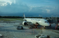Air New Zealand mở thêm đường bay đến Việt Nam vào đầu năm 2020