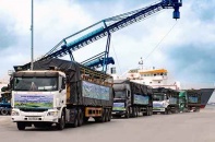 Vinamilk nhập hơn 2.100 bò sữa HF thuần chủng từ Mỹ về trang trại mới tại Quảng Ngãi