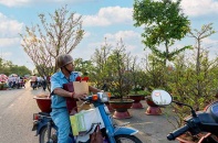Chợ hoa xuân Bình Điền 2025: SATRA miễn phí thuê gian hàng cho tiểu thương