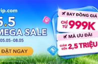 Deal lớn vào 5.5: Săn vé bay đồng giá 999K, giảm đến 50% cùng Trip.com