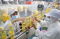 IDI đạt lợi nhuận cao từ ngành nuôi, chế biến cá tra