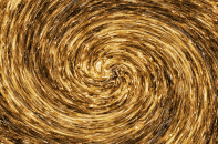 Giá vàng tuần tới: Vẫn sẽ mắc kẹt 