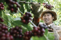 Chính sách tín dụng năm 2015 có gì đáng chú ý?
