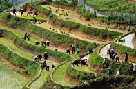  Rộn ràng mùa cấy vùng cao