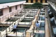 Hà Nội sẽ thiếu hụt tới 60.000 m3 nước mỗi ngày trong mùa hè