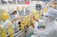 Giá trị dinh dưỡng bất ngờ từ cá tra, basa