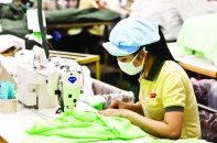 Việc làm bền vững sẽ giảm đình công