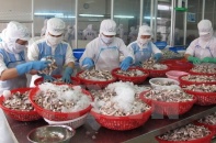 Chỉ số PMI tháng 5 tăng cao kỷ lục lên 54,8 điểm 