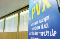 PVN thoái một phần vốn tại PVX và PVI
