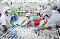 Việt Nam lọt Top 5 nhà sản xuất và xuất khẩu thủy sản hàng đầu thế giới