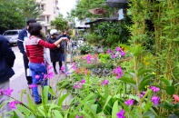 Muôn hoa khoe sắc tại chợ phiên cây cảnh Hà Nội