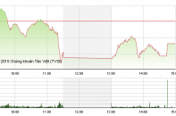 Phiên 8/7: OGC vào diện "chăm sóc đặc biệt"