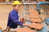 Thua lỗ, cổ phiếu Viglacera Đông Anh vào diện bị kiểm soát 