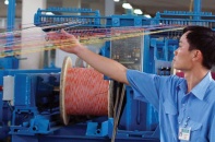 Tái cơ cấu doanh nghiệp nhà nước: Ngổn ngang trước giờ G