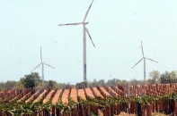Tata Power muốn đầu tư dự án điện gió ở Ninh Thuận