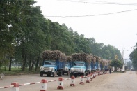 Thị trường chứng khoán: "Ngọt lịm" như cổ phiếu đường