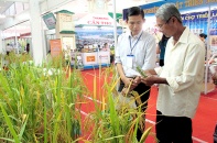 Agrotex 2015 - Tăng sức cạnh tranh bằng chuỗi giá trị