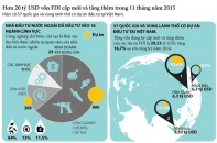 [Infographics] Hơn 20 tỷ USD vốn FDI cấp mới và tăng thêm trong 11 tháng năm 2015