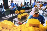 Ông Trịnh Quang Dũng đăng ký mua cổ phần CTCP Kho vận và Dịch vụ hàng hóa Cao su