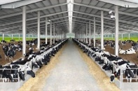 Quy chuẩn sữa tươi sẽ được ban hành chậm nhất trong tháng 6/2016