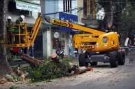 Hà Nội đầu tư 1,5 tỷ đồng nhập xe cắt tỉa cây trước mùa mưa bão