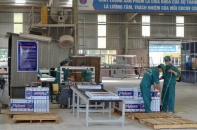 Diễn biến các cổ phiếu cần quan tâm tuần qua: TLT tăng xấp xỉ 15%