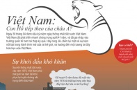 [InfoGraphics] Việt Nam - Con Hổ tiếp theo của châu Á?