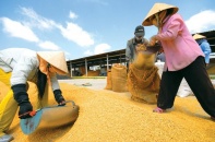 IMF: Việt Nam là "động cơ" tăng trưởng của khu vực