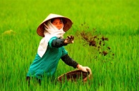 Bóng ma kiểm nghiệm