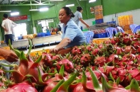 Xoài, chuối, thanh long… dồn dập xuất ngoại